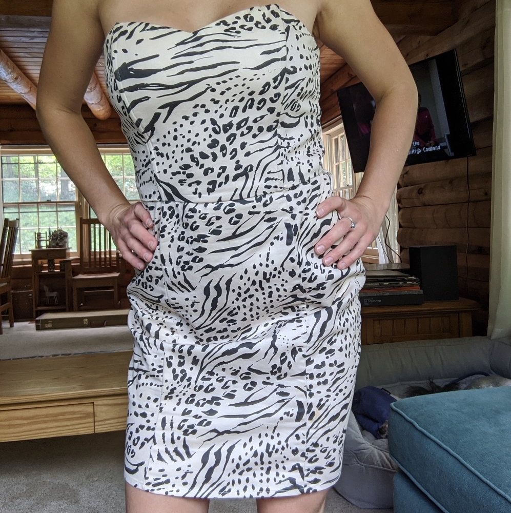 Mini Animal Print Dress